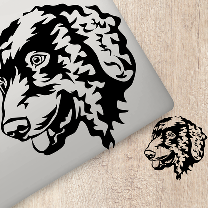 Curly Coated Retriever Sticker