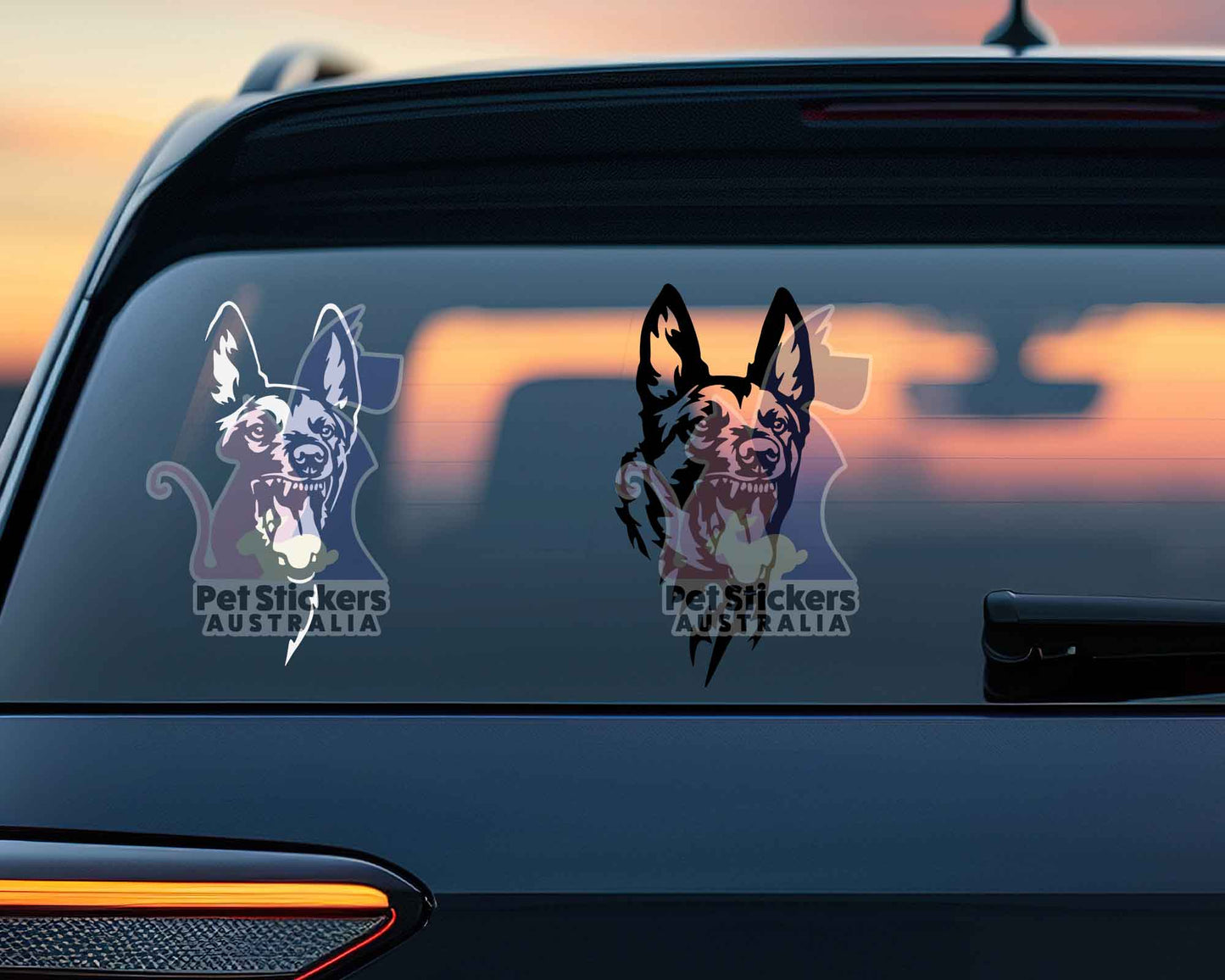 Malinois Angry Sticker