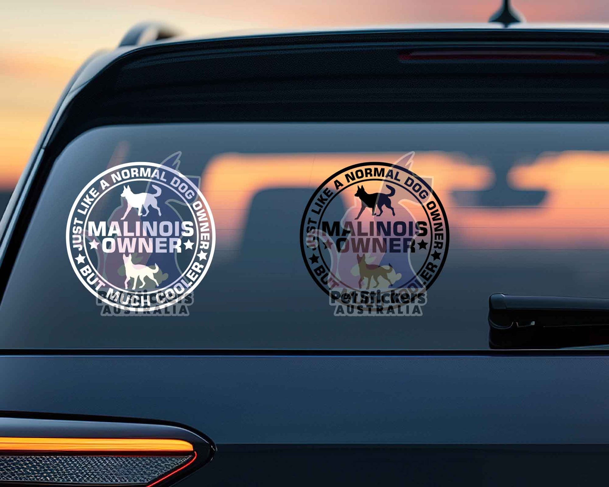 Malinois Dog Owner But Cooler Sticker