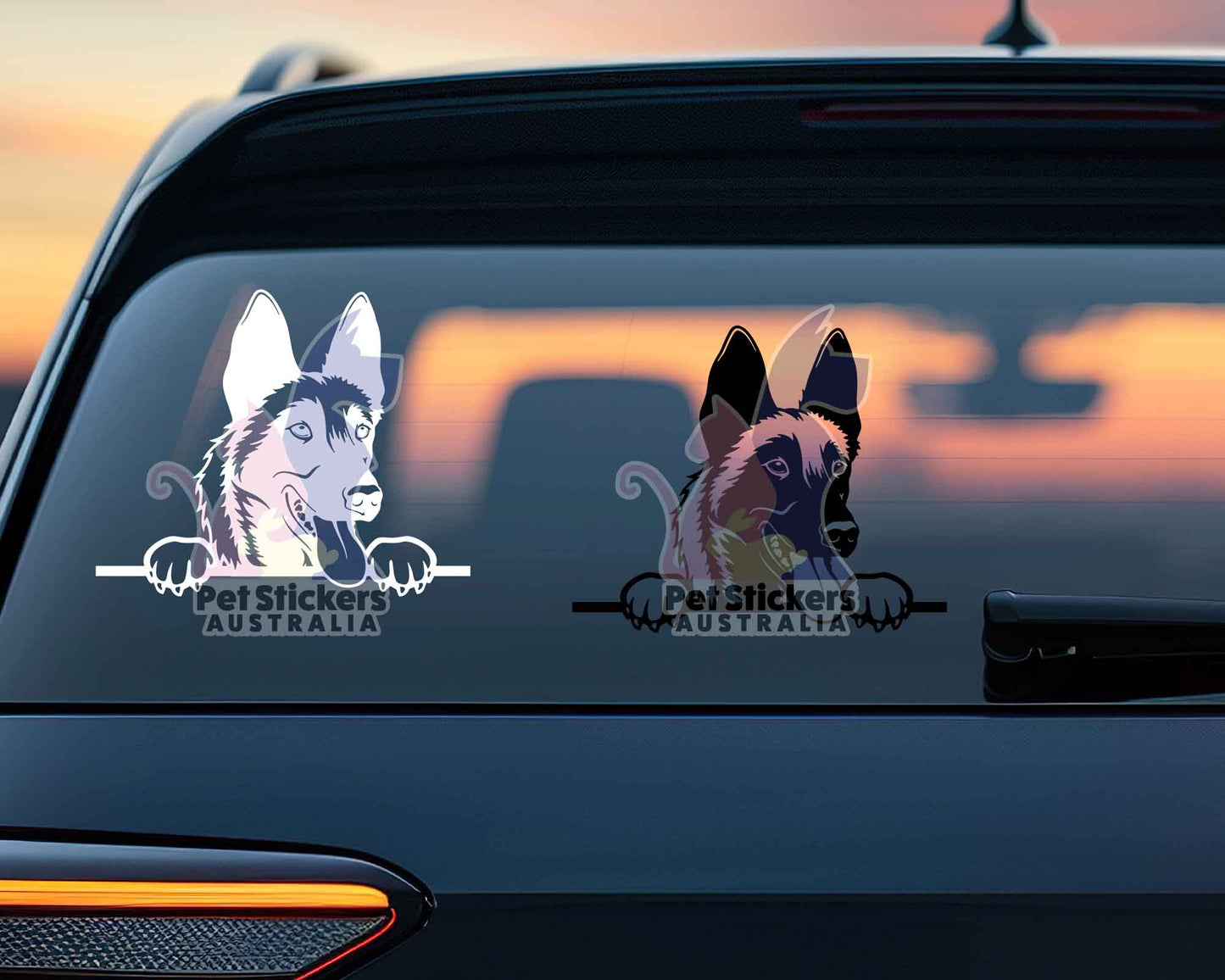 Malinois Sticker