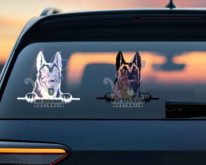 Malinois Sticker