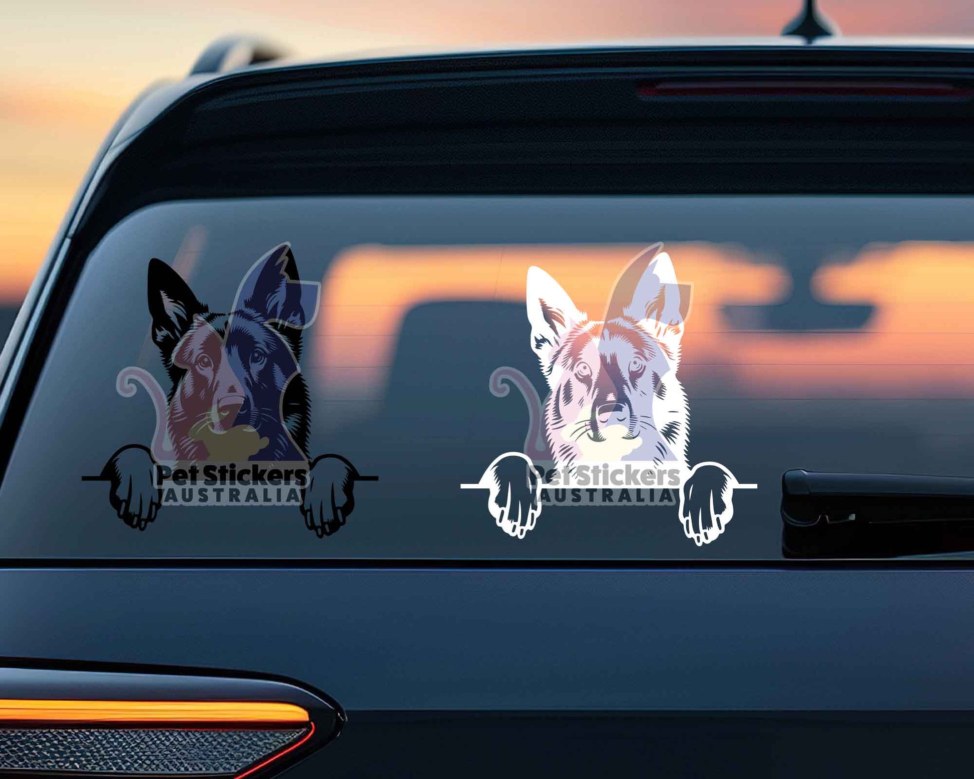 White Swiss Shepherd Sticker