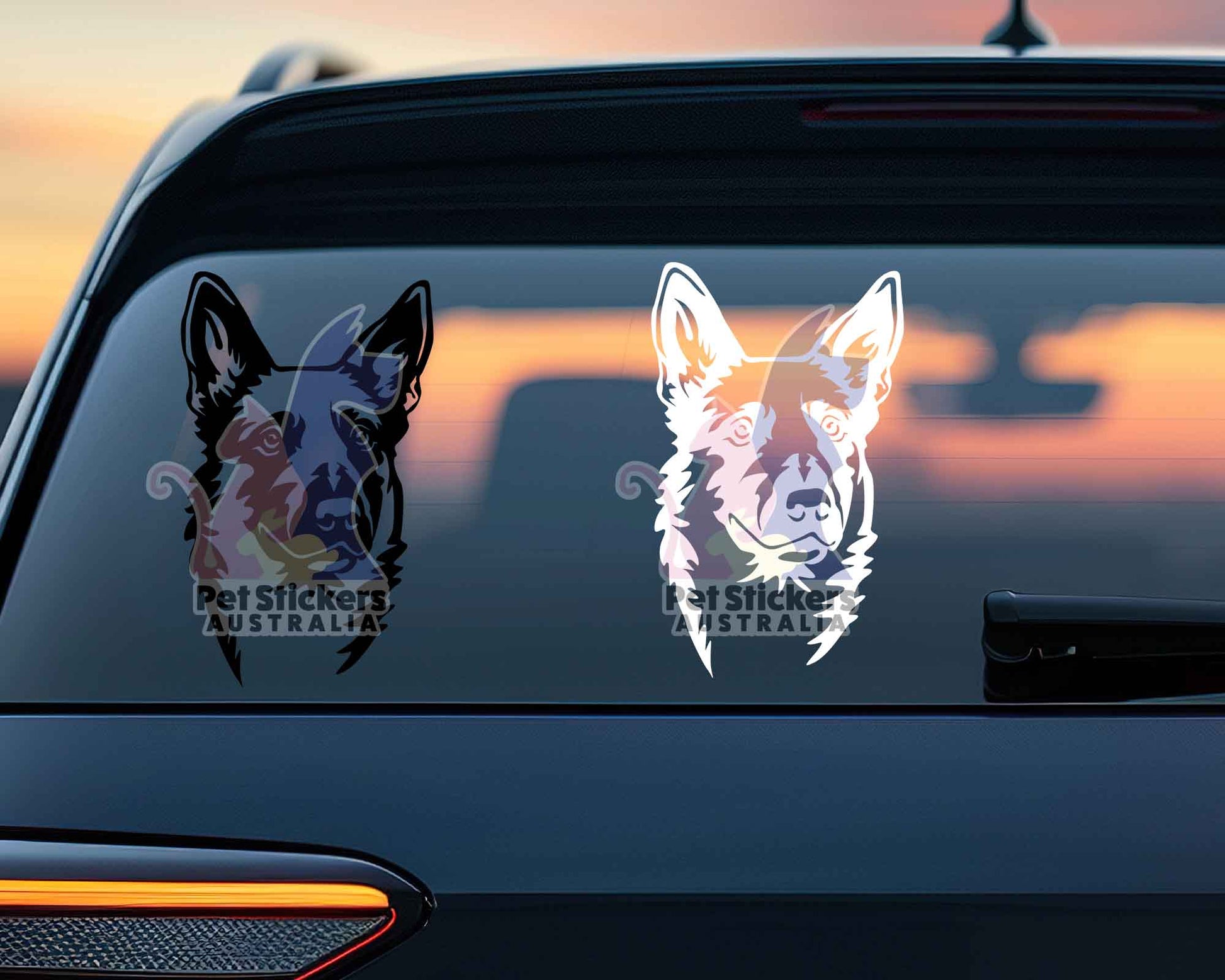 Malinois Sticker