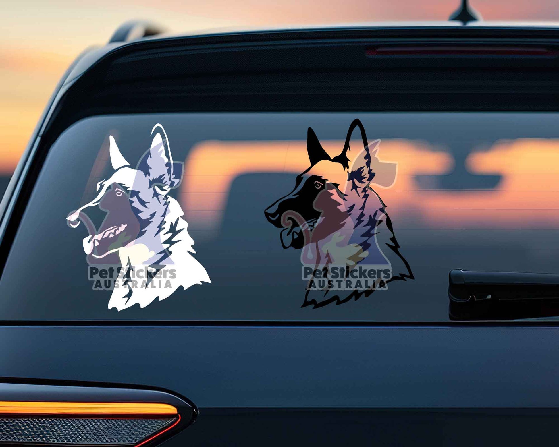 Malinois Sticker