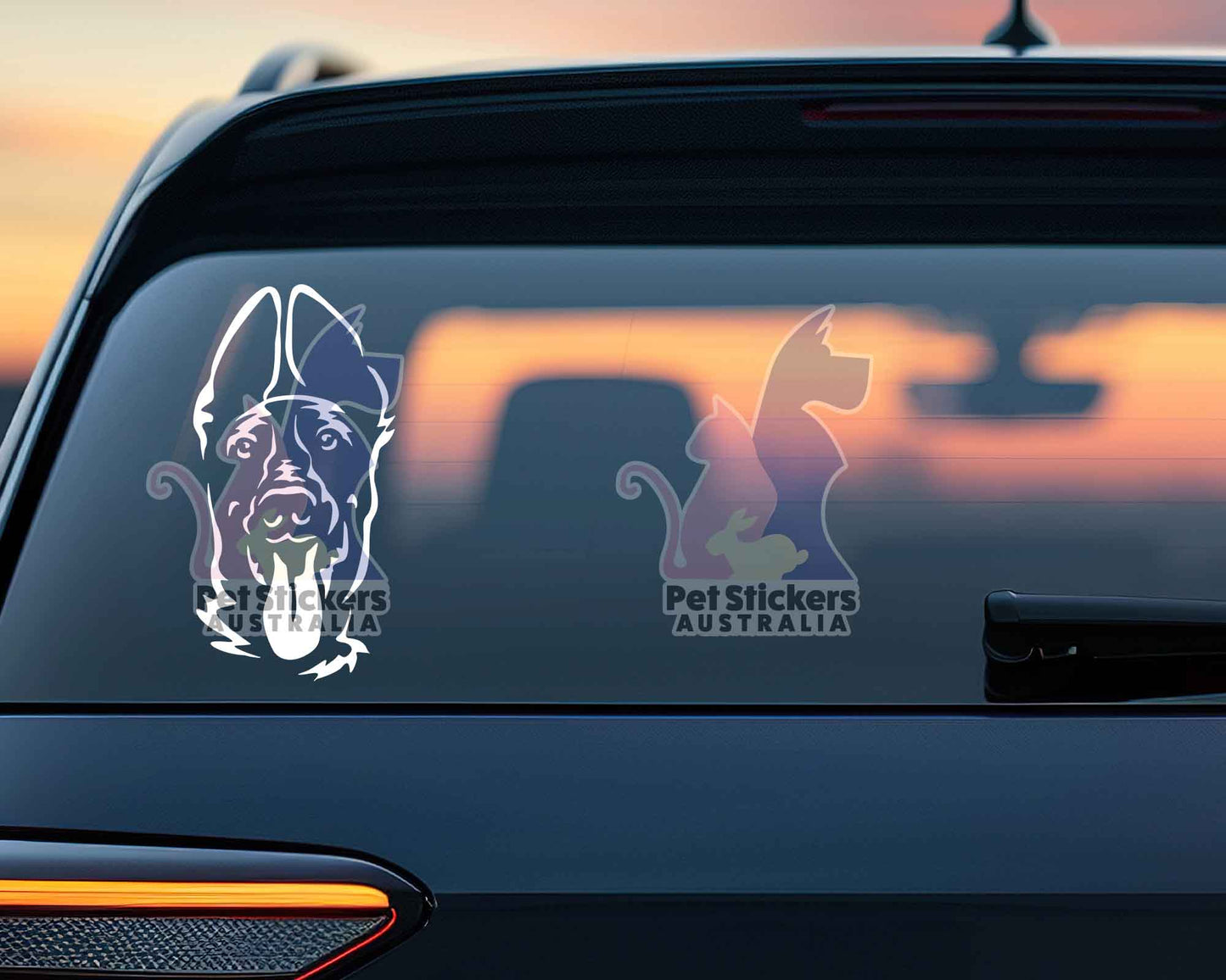 Malinois Sticker