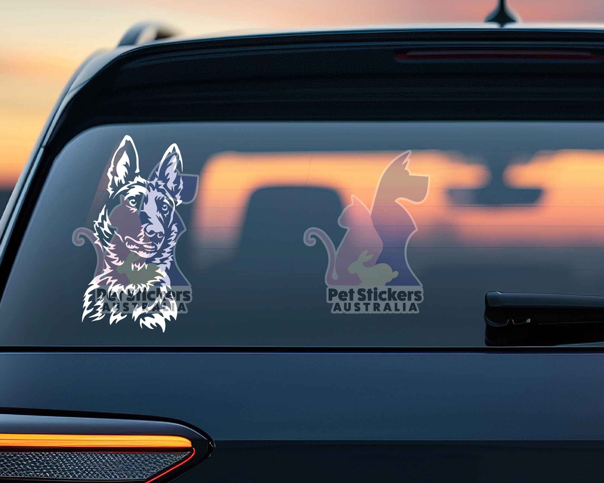 Malinois Sticker