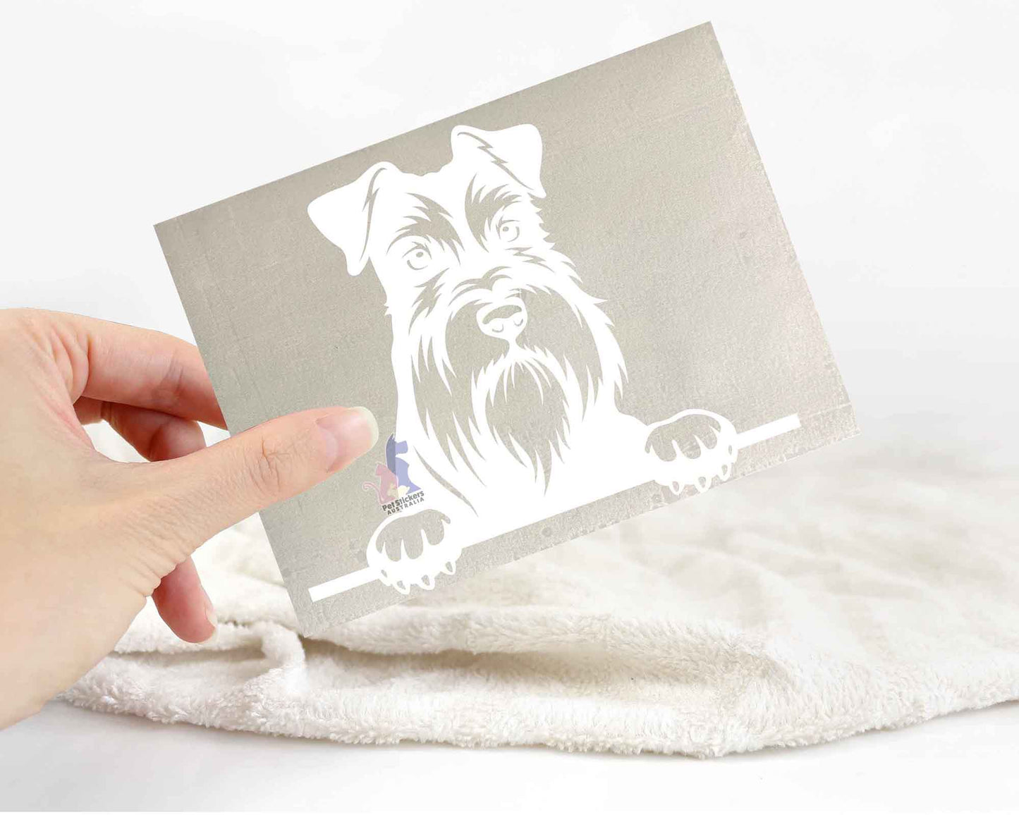 Miniature Schnauzer Sticker