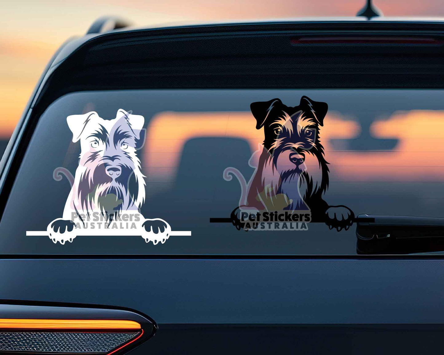 Miniature Schnauzer Sticker