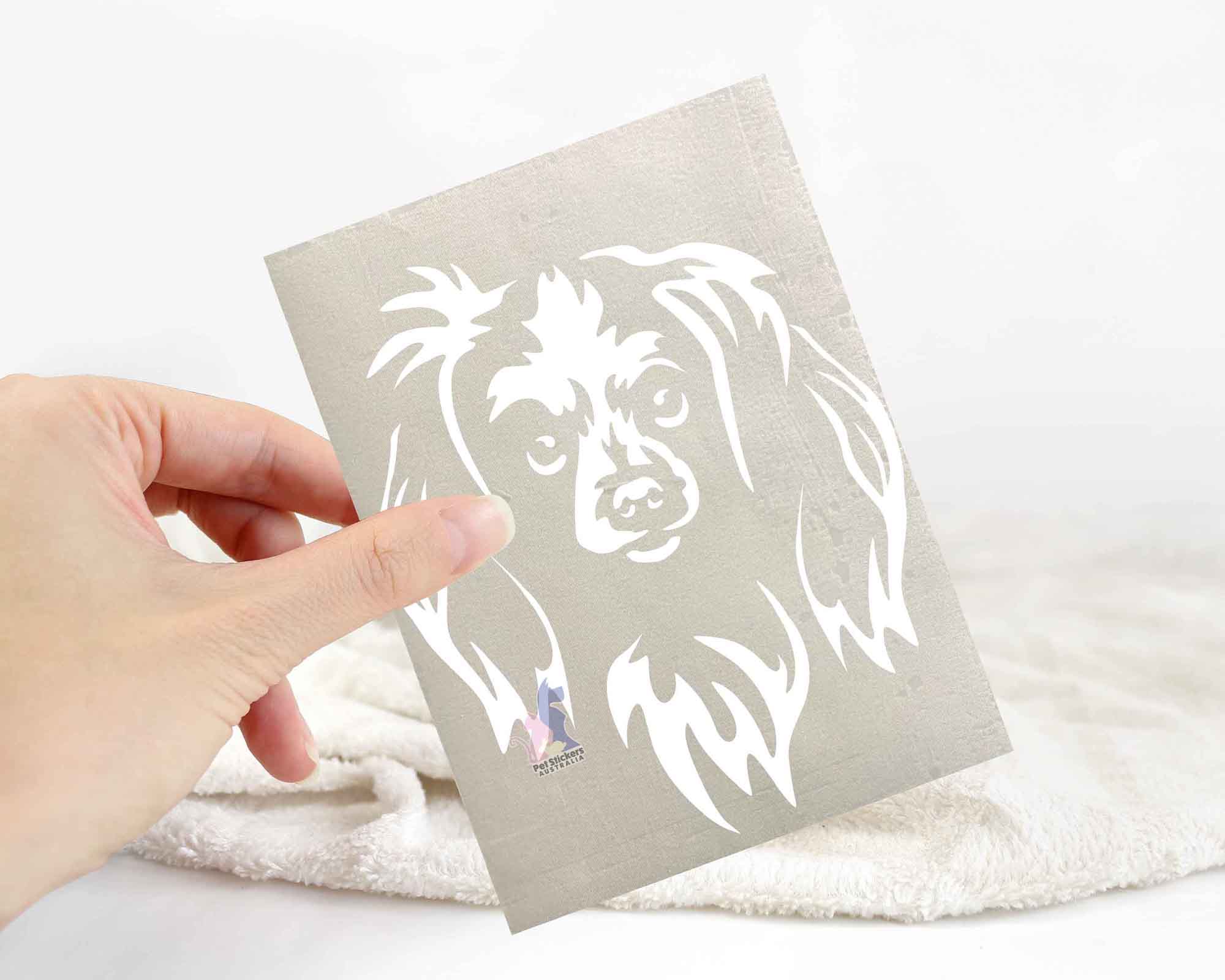 Phalene Papillon Sticker | Dog Stickers For Cars Australia – Pet ...