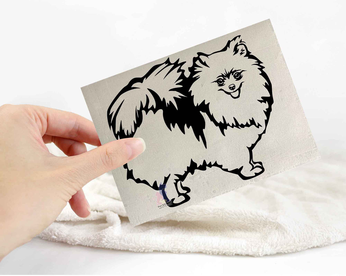 Pomeranian Sticker