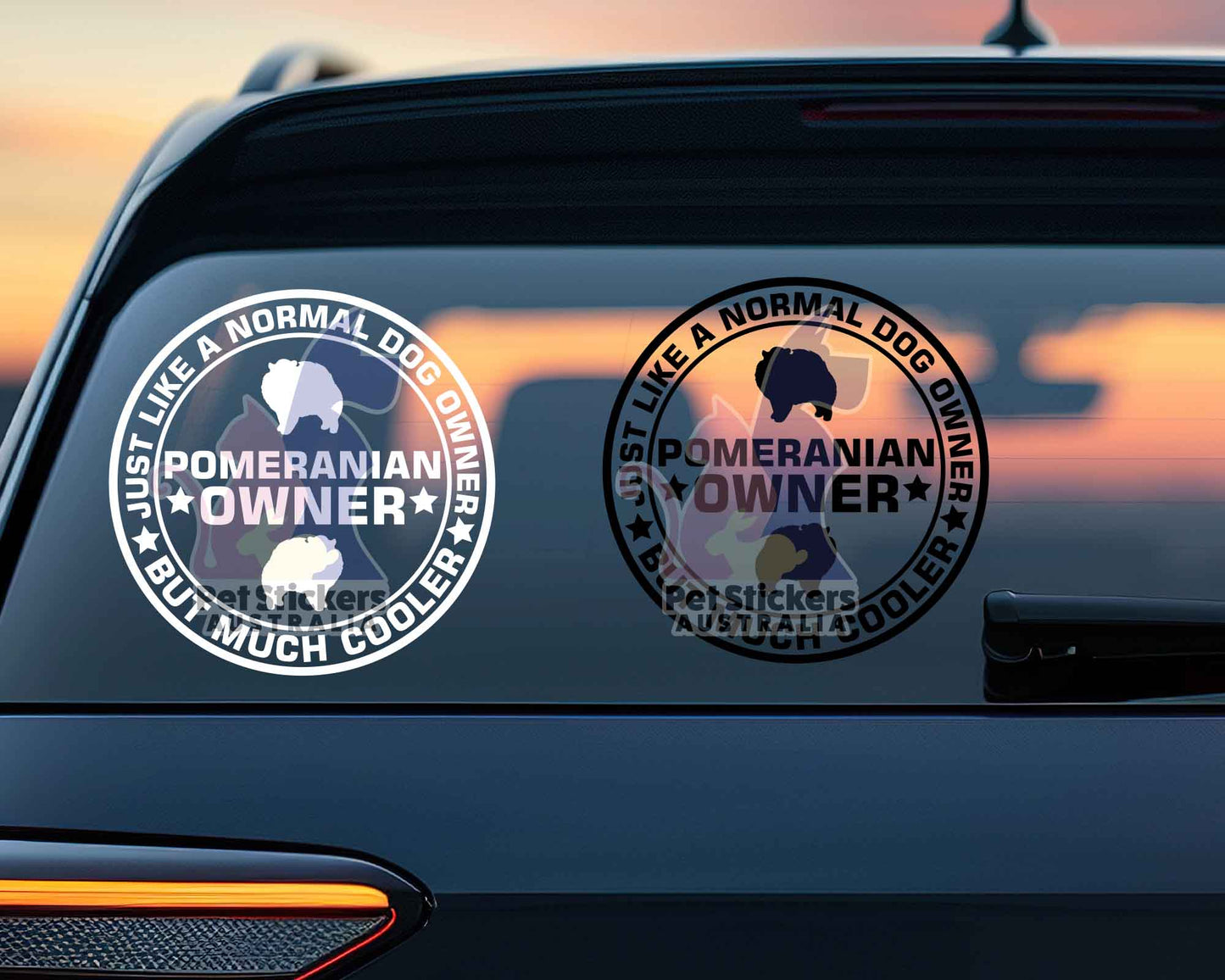 Pomeranian Owner But Cooler Sticker