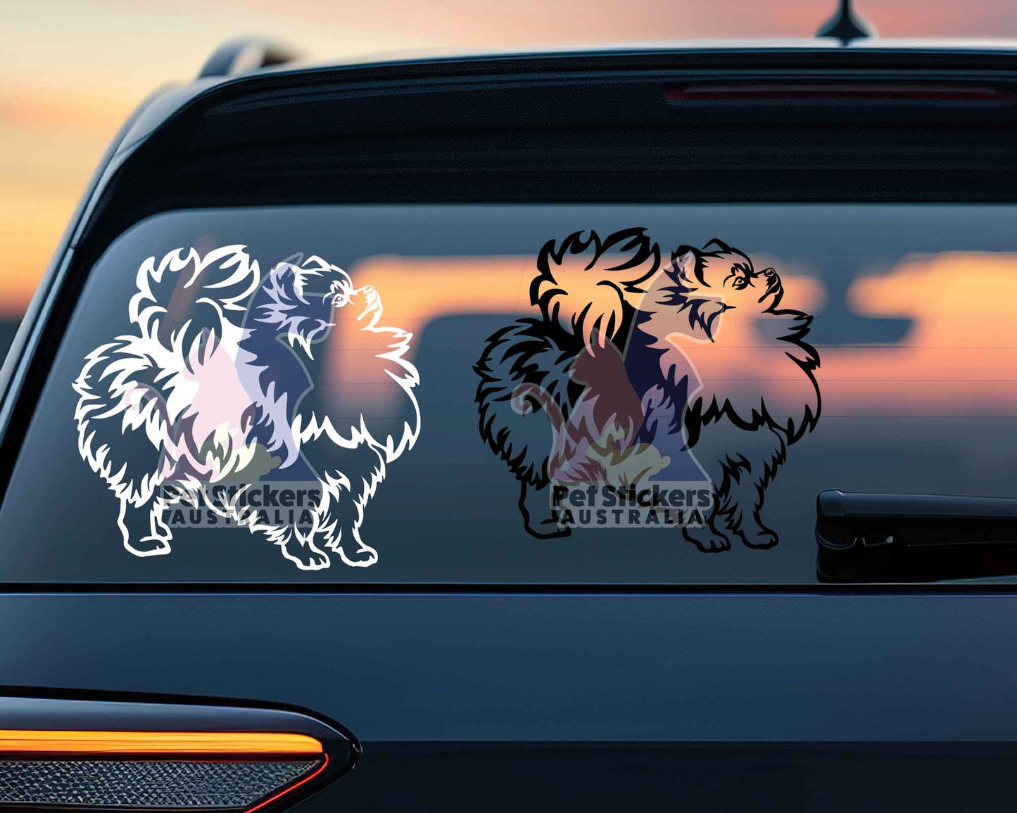 Pomeranian Sticker