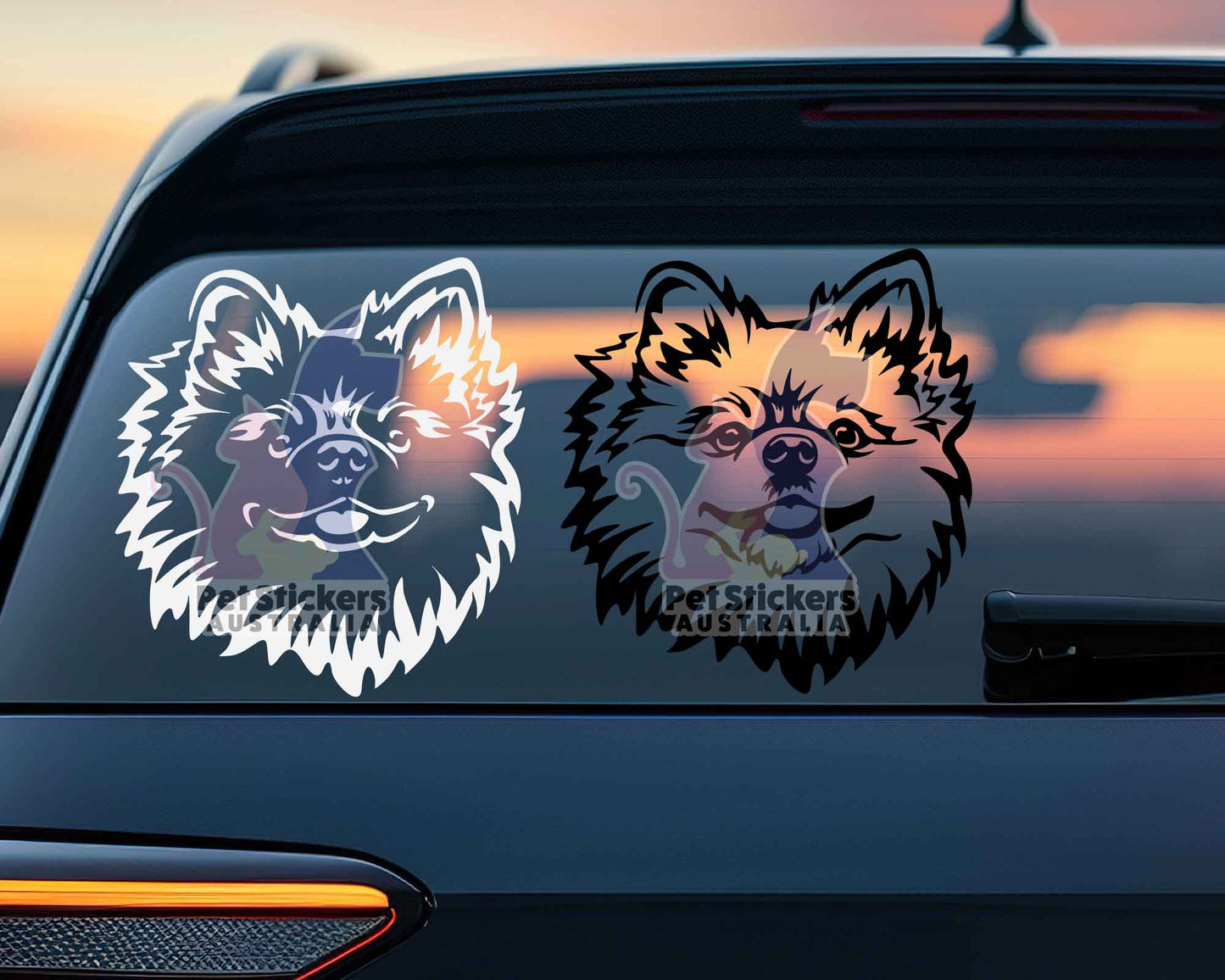 Pomeranian Sticker