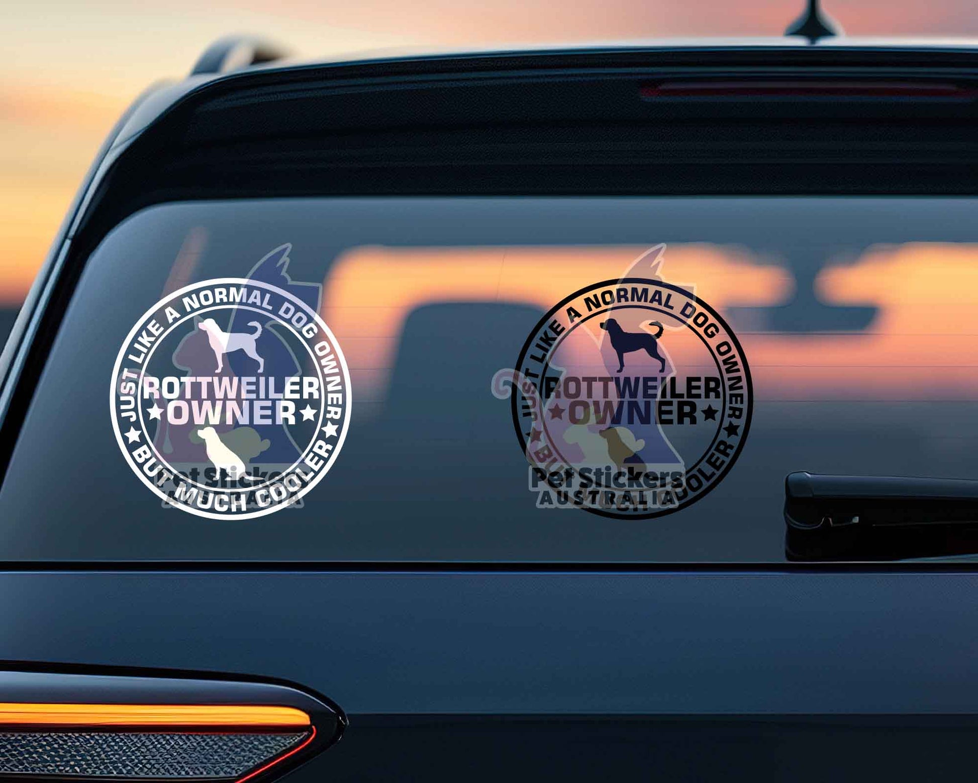 Rottweiler Dog Owner But Cooler Sticker