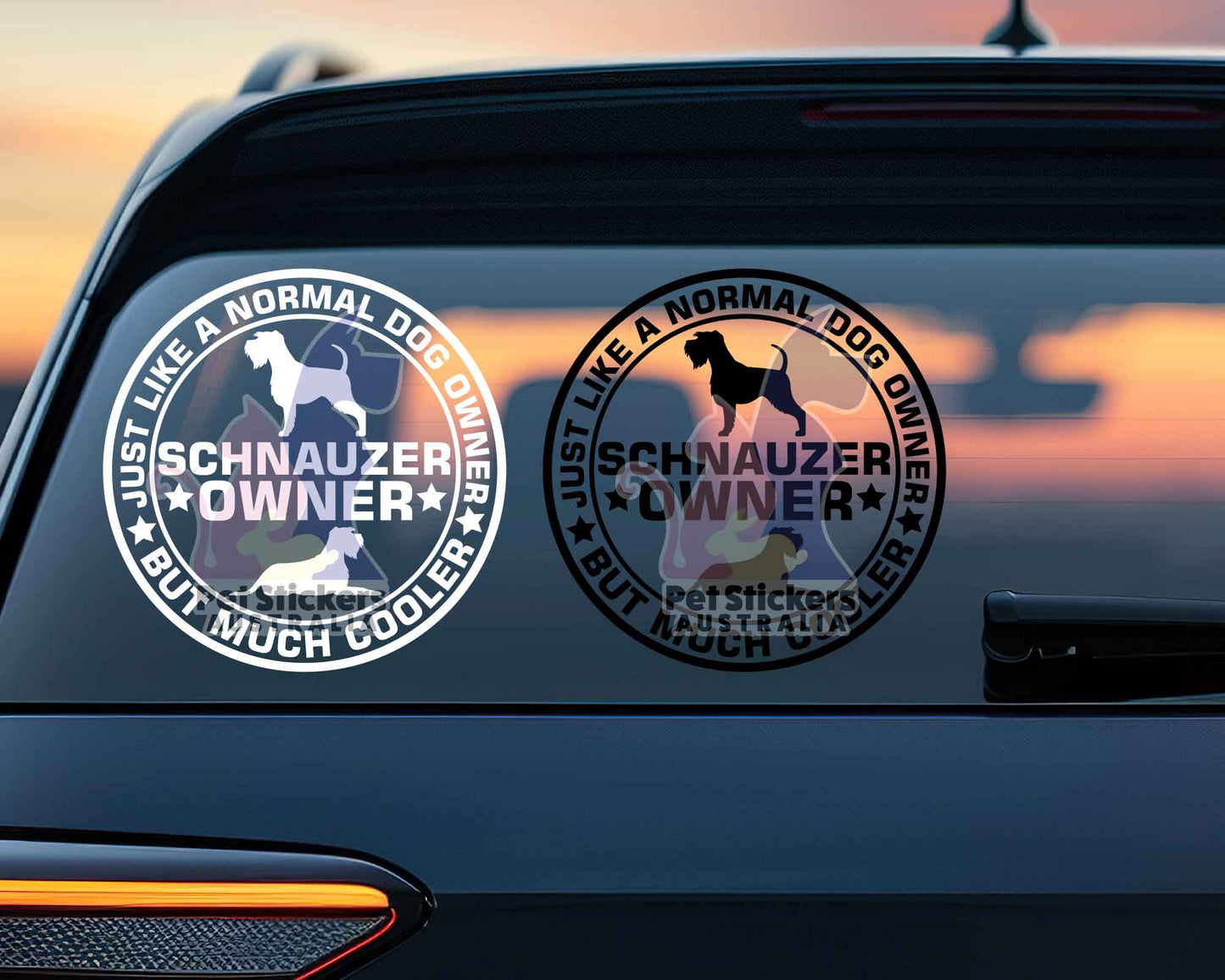 Schnauzer Dog Owner But Cooler Sticker