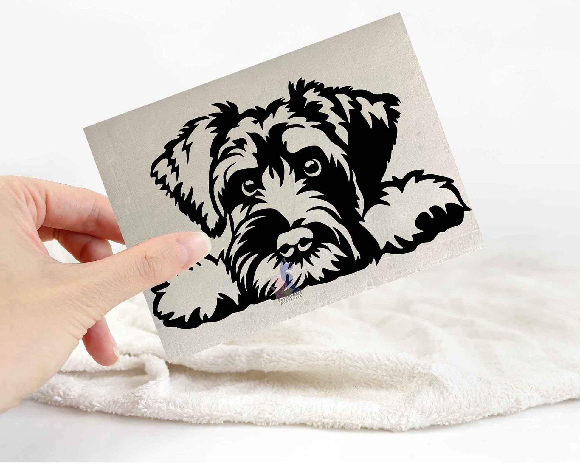 Schnauzer Sticker