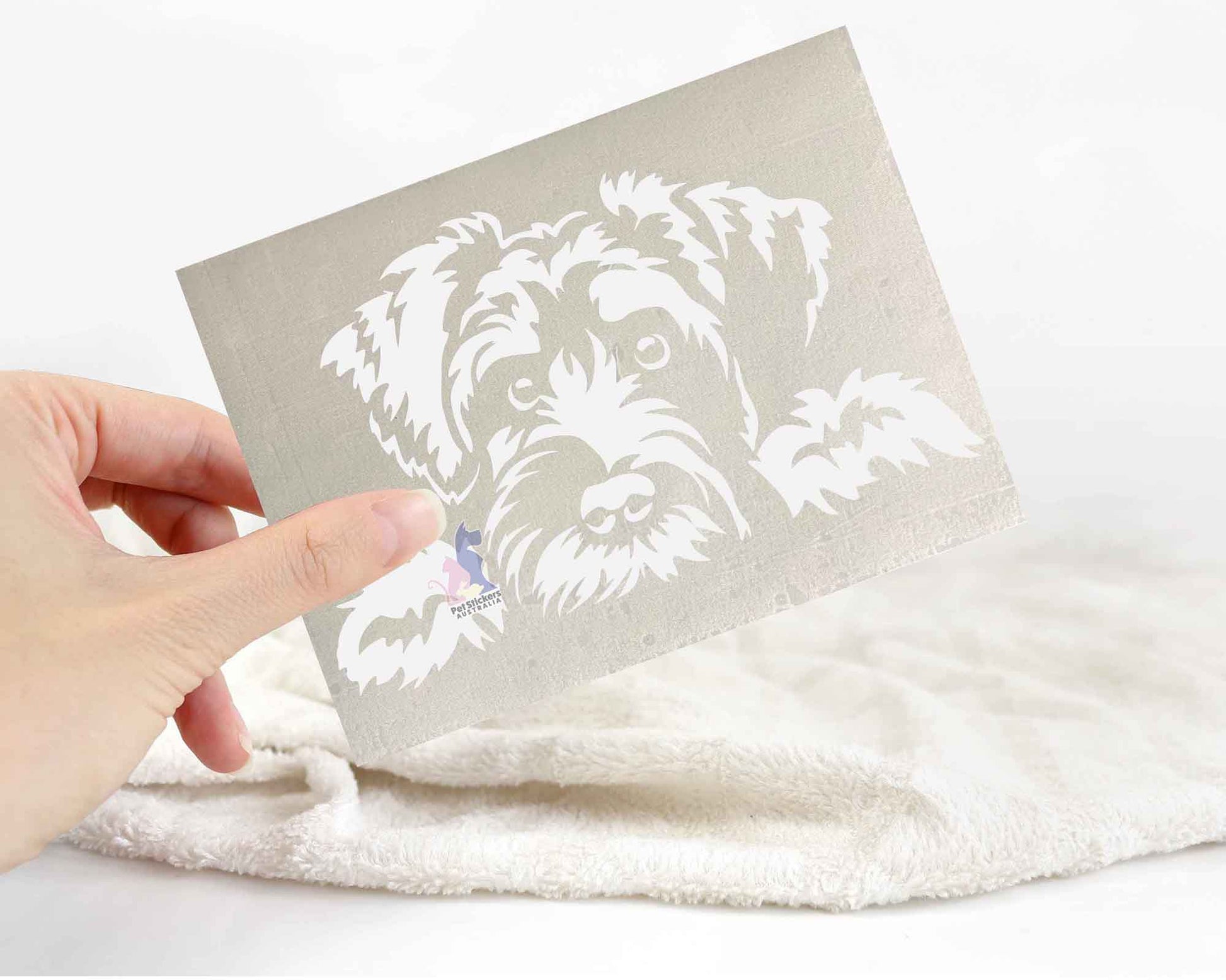 Schnauzer Sticker