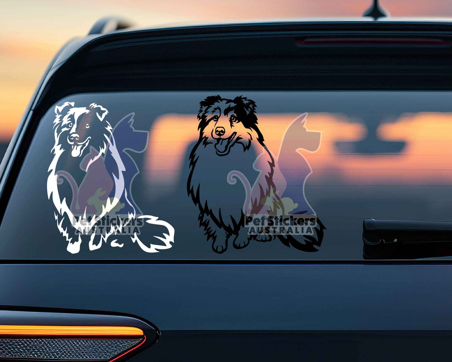 Shetland Sheepdog Sticker