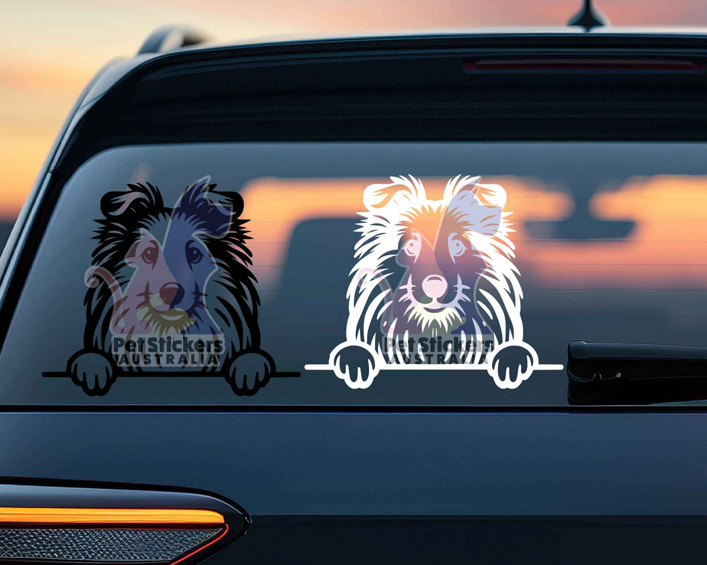 Shetland Sheepdog Sticker