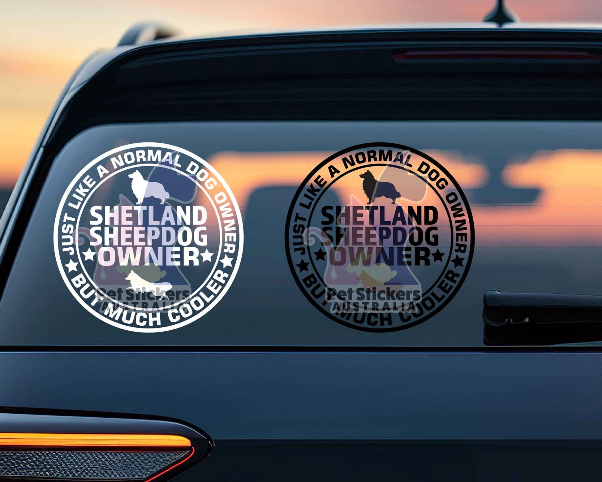 Shetland Sheepdog Owner But Cooler Sticker