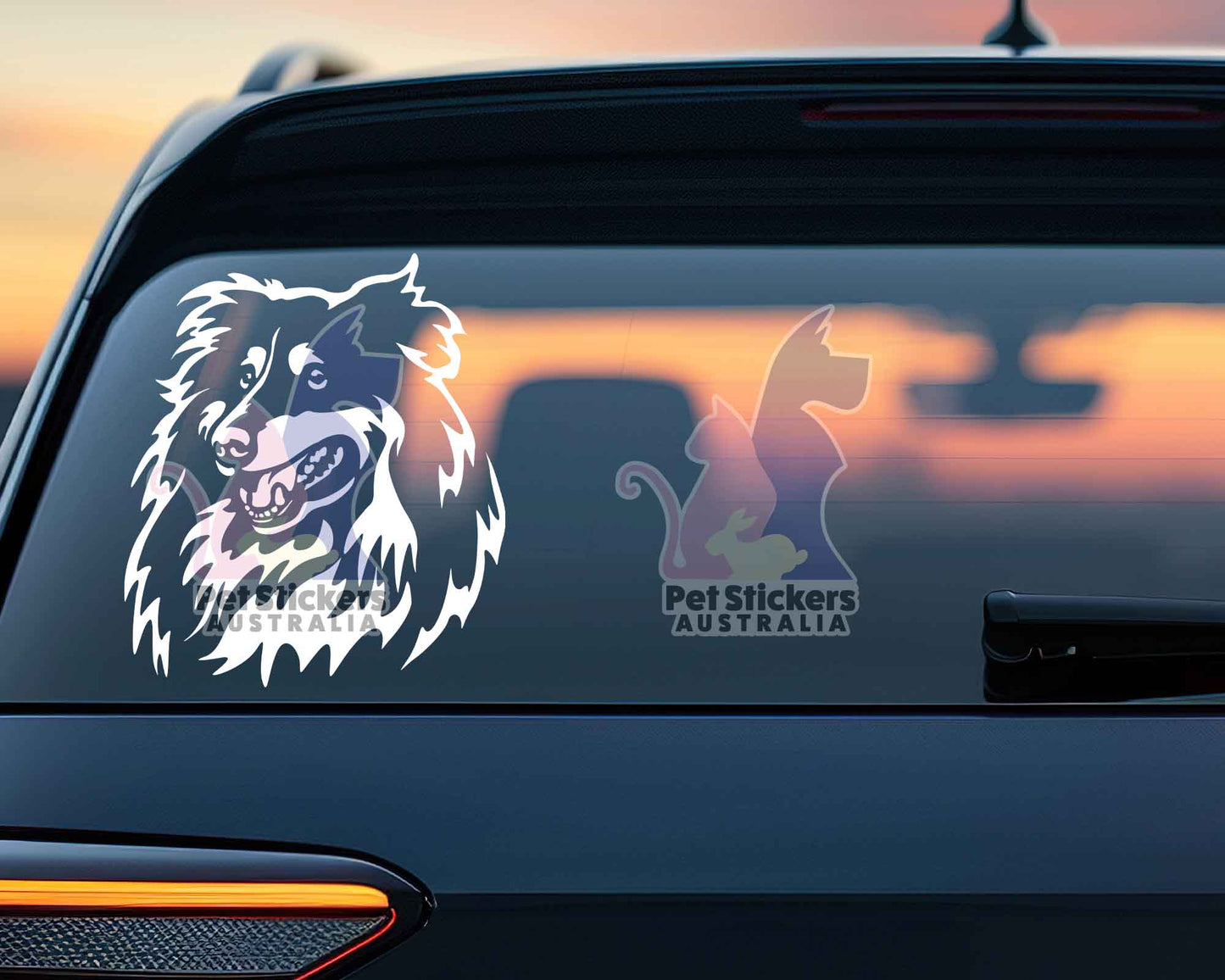 Shetland Sheepdog Sticker