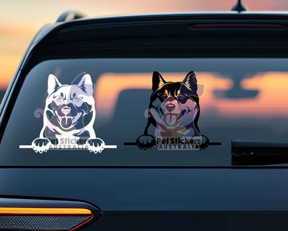 Shiba Inu Sticker