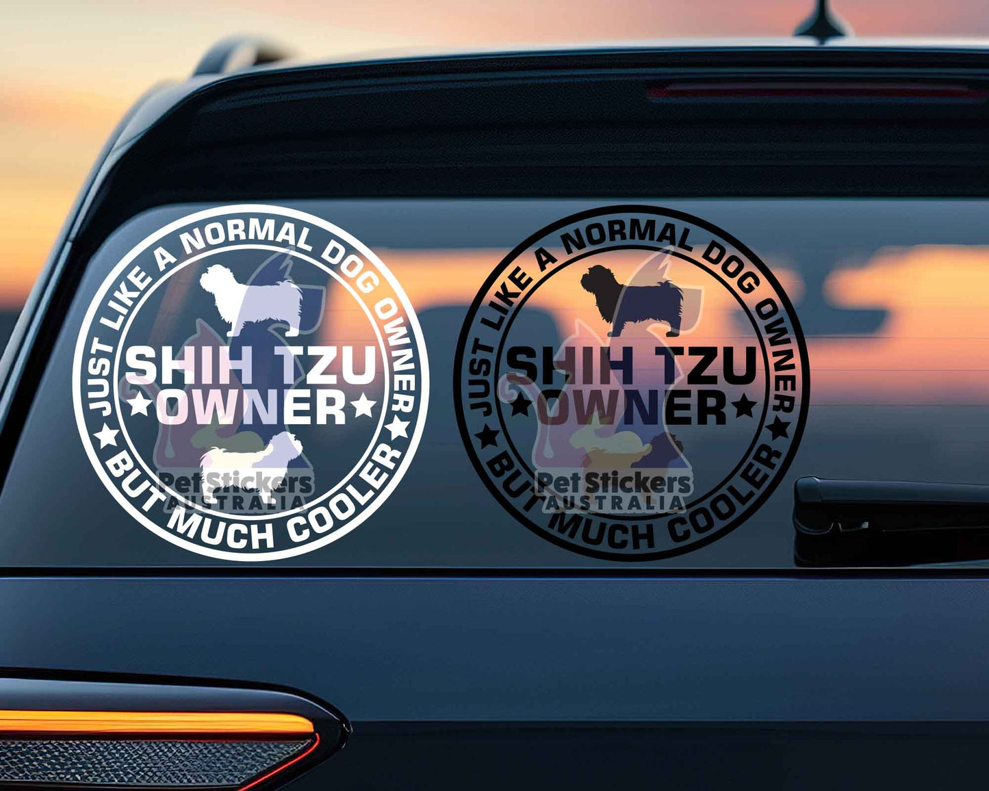 Shih Tzu Dog Owner But Cooler Sticker