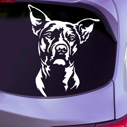 American Pit Bull Terrier Sticker