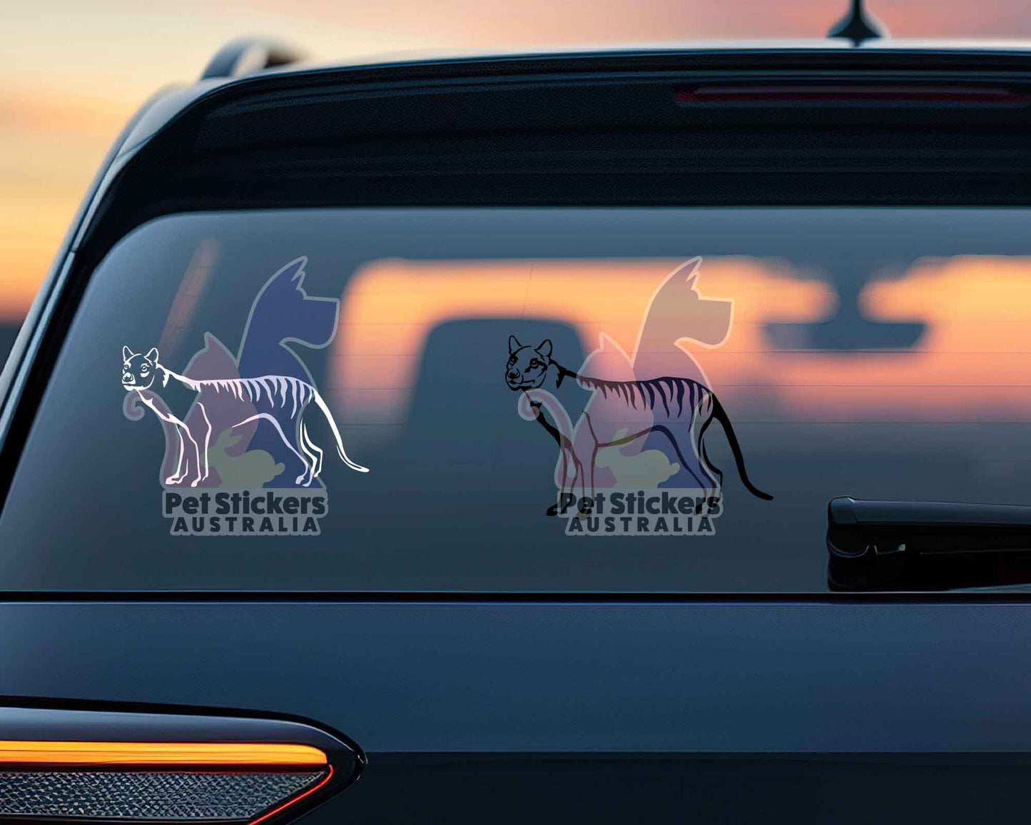 Tasmanian Tiger Sticker