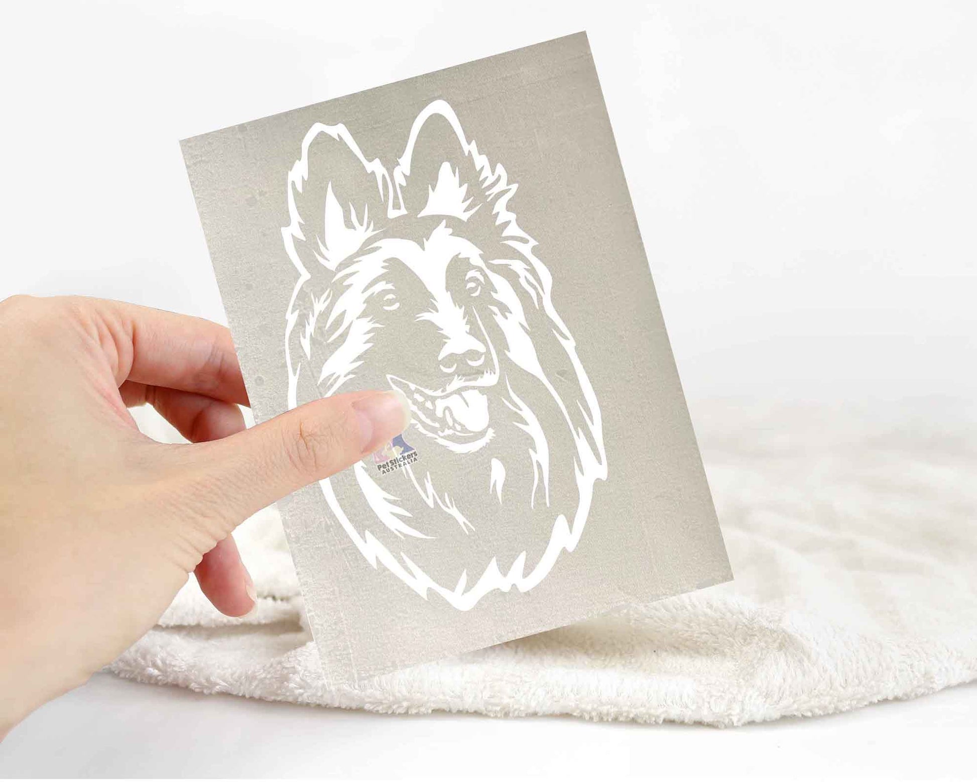 Belgian Tervuren Sticker