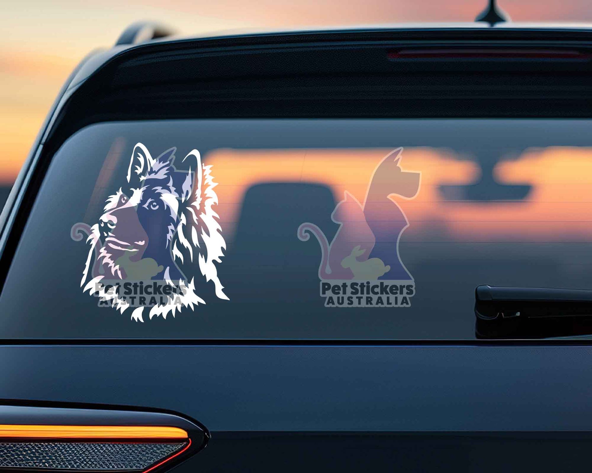 Belgian Tervuren Sticker