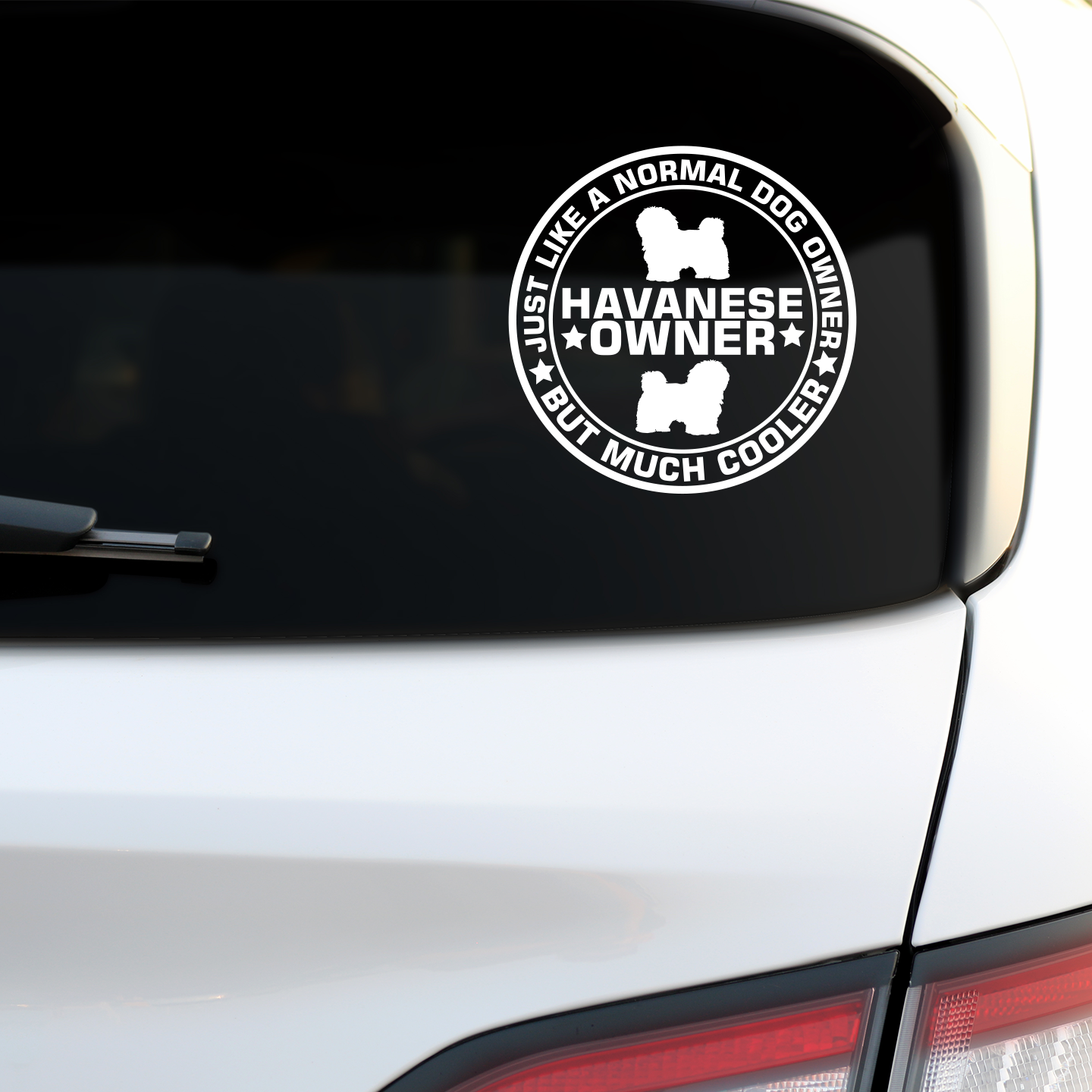 Havanese Owner Sticker