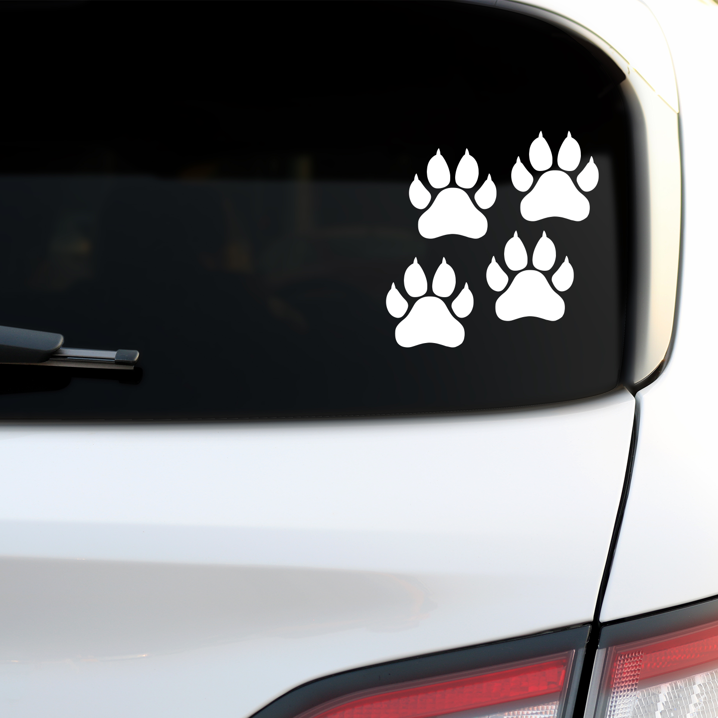 Lion Paw Print Stickers