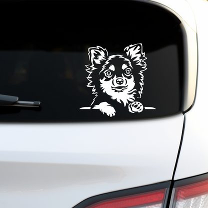 Chihuahua Peeping Sticker
