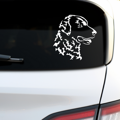 Curly Coated Retriever Sticker