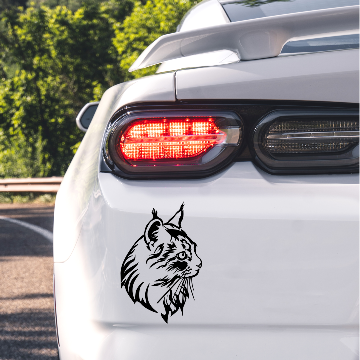 Maine Coon Sticker