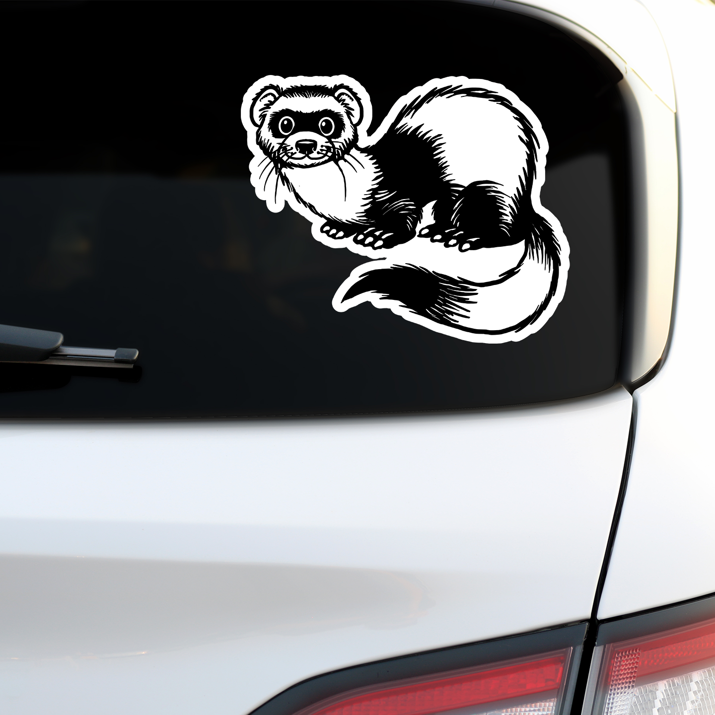 Cute Ferret Sticker