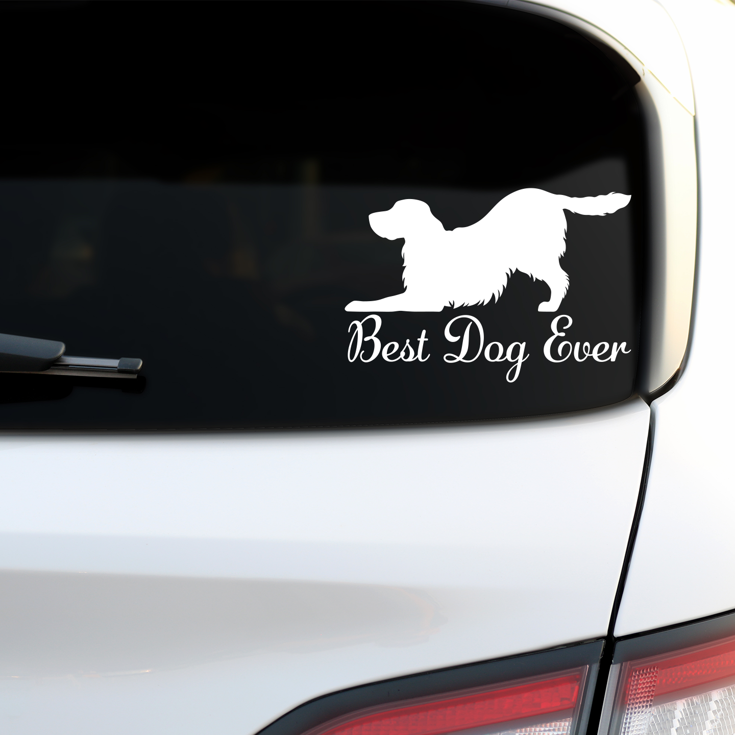 Best Dog Ever Springer Spaniel  Sticker