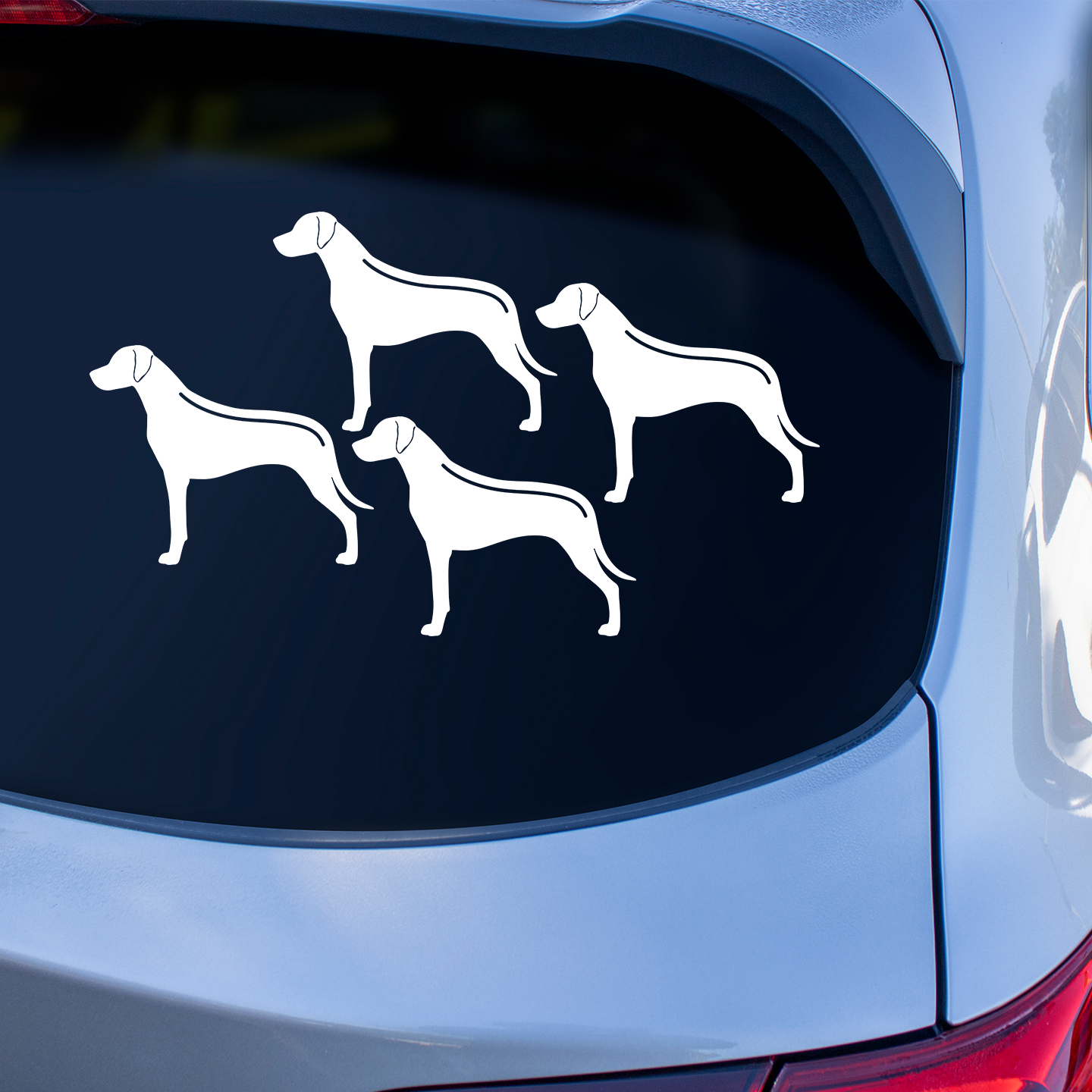 Rhodesian Ridgeback With Ridge Sticker