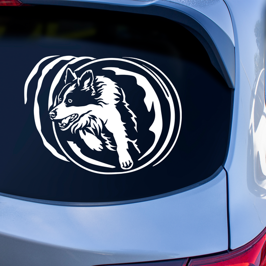 Border Collie In Agility Tunnel Sticker