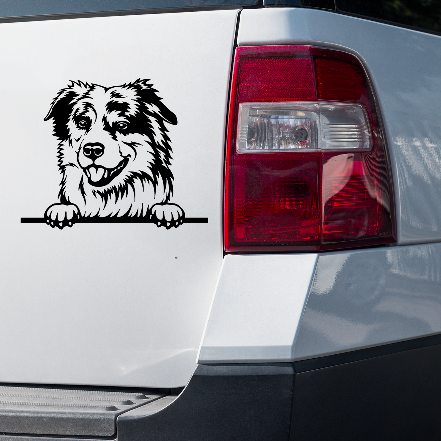 Miniature American Shepherd Sticker