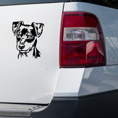 Miniature Pinscher Sticker