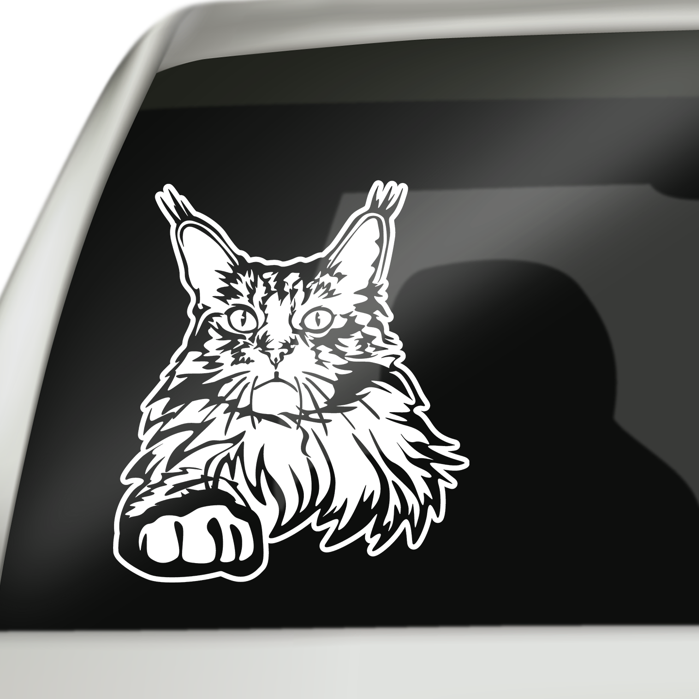 Maine Coon Cat Sticker