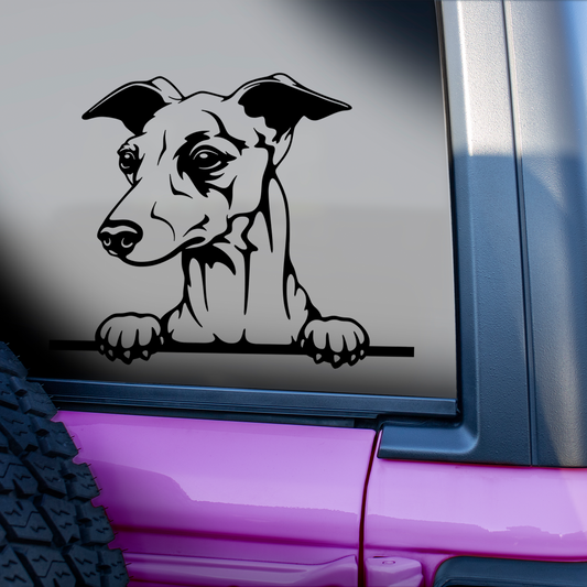 Italian Greyhound Sticker