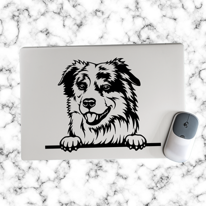 Miniature American Shepherd Sticker