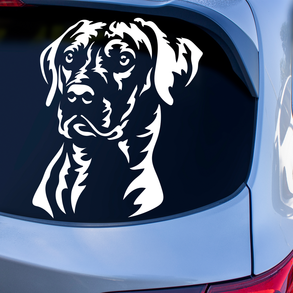 Rhodesian Ridgeback Sticker | Dog Decals For Cars Australia – Pet ...