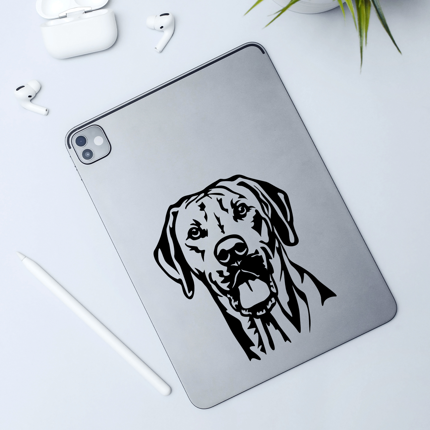 Rhodesian Ridgeback Sticker