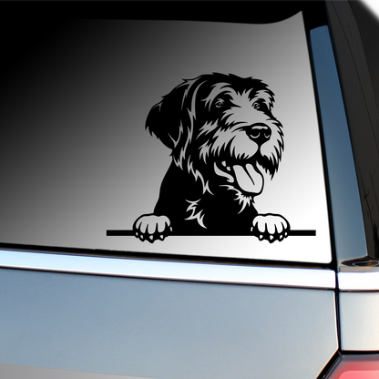 Italian Spinone Sticker