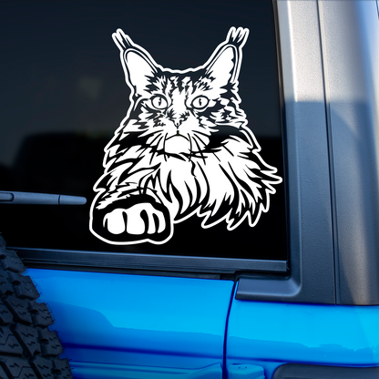 Maine Coon Cat Sticker