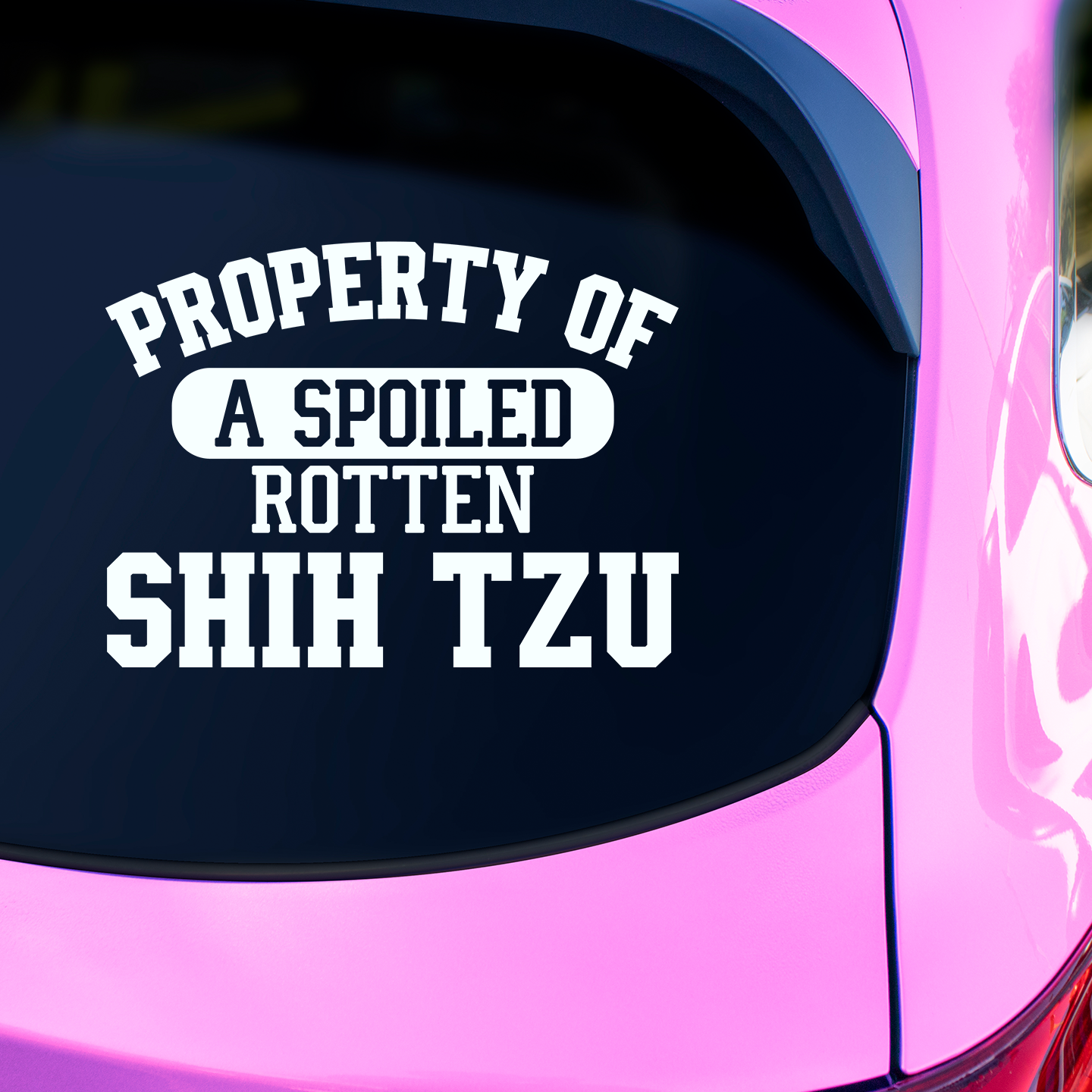 Property of a Spoiled Rotten Shih Tzu Sticker